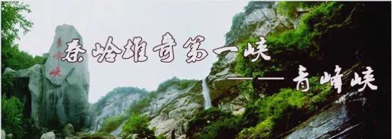 微信图片_20200730221846.jpg