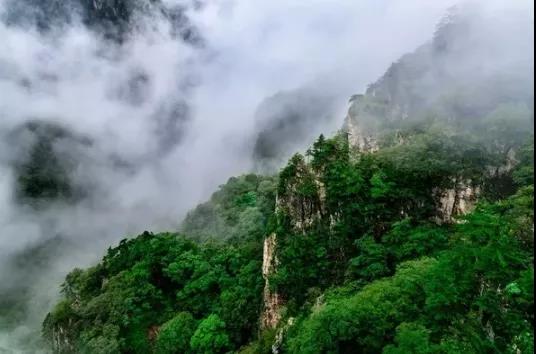 微信图片_20200730231745.jpg