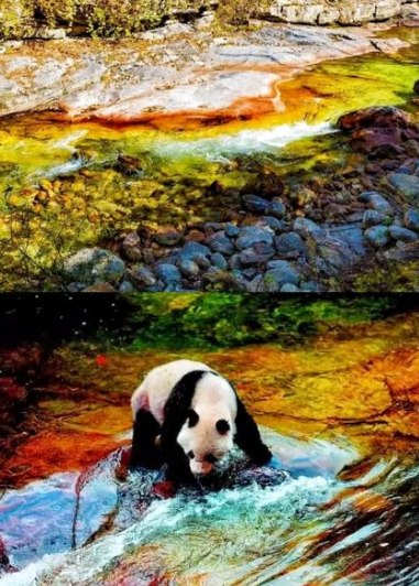 生态旅游